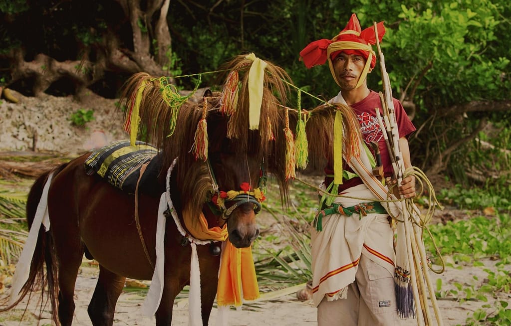 Cultura de Sumba - hombre de la isla sumba, Indonesia, con caballo y vestimenta tradicional